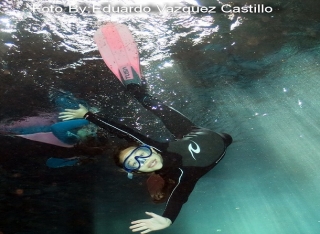snorkel en cenotes